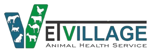 vetvillage.pk